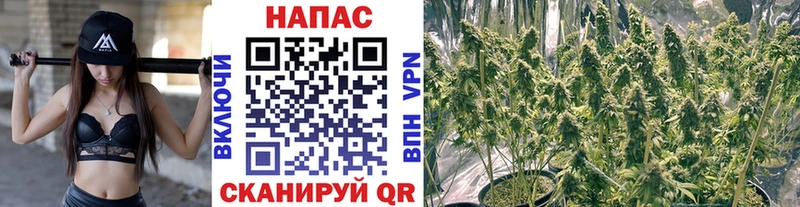 Купить закладку A-PVP Марихуана Меф Гашиш Киреевск