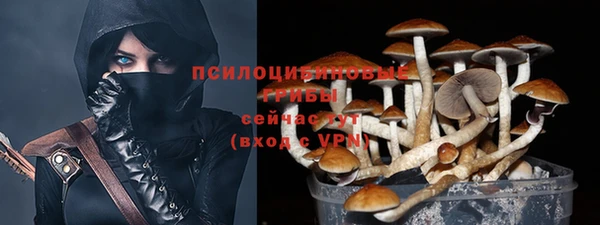 дурь Карпинск
